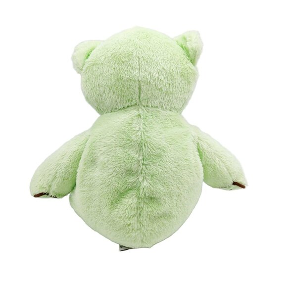 Baby Ganz Bear Plush with Rattle Chocolate Chip Bear Mint Green Brown 13" BG2232 - Picture 3 of 4